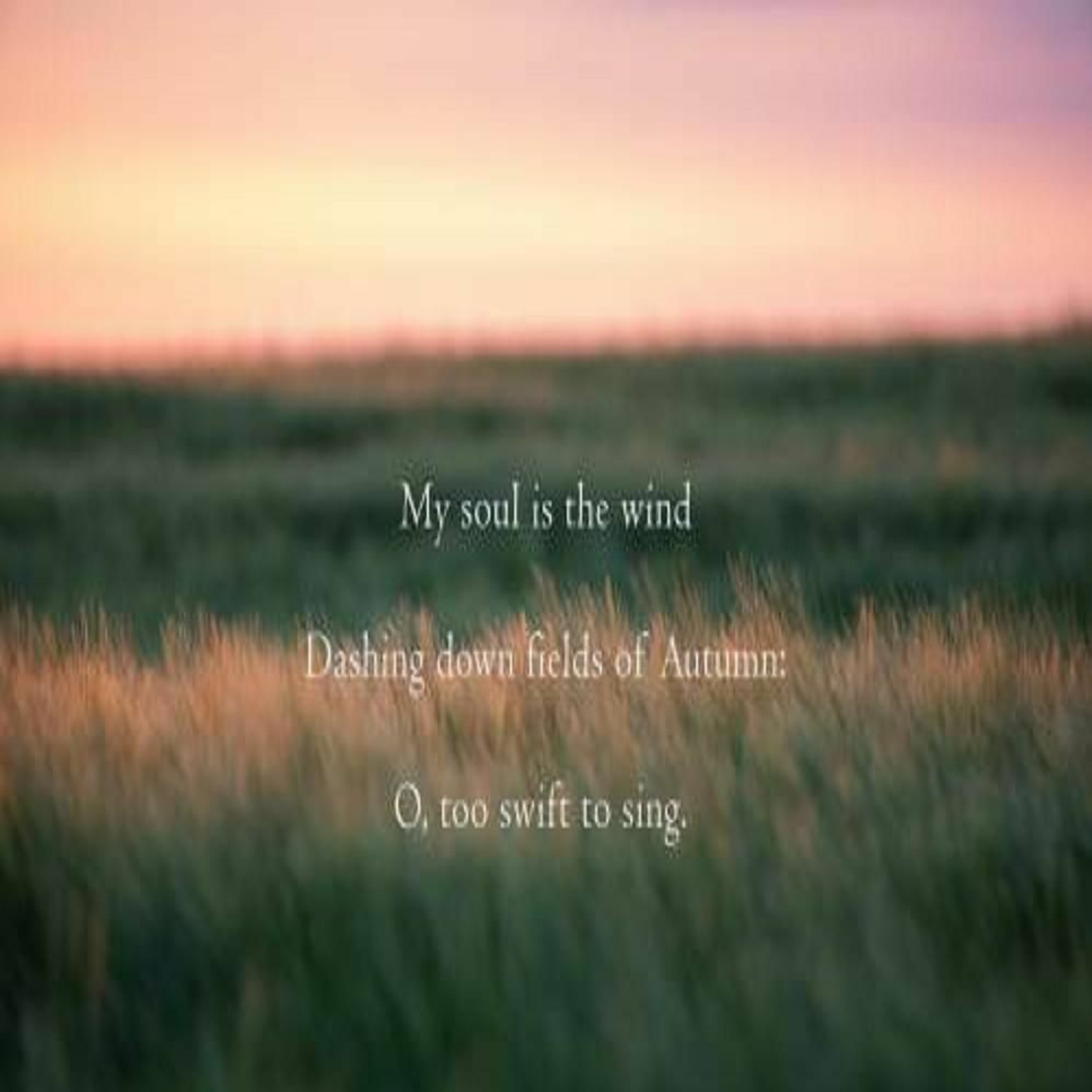 My Soul Is The Wind Dashing Down Fields Of Autumn - O Too Swift To Sing (Naviarhaiku 254) episode artwork