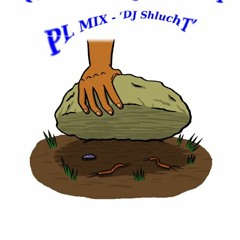 PL MIX - DJ Shlucht " I Used To Sleep Under Rocks (NYC Spring 2018) "