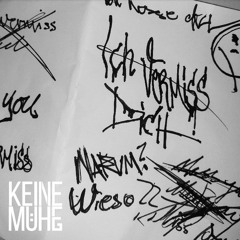 SamLi Feat. BrokeMC - Ich Vermiss Dich (prod. By BUKU!)