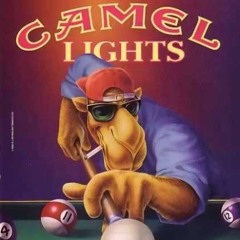 Camel Warmy 18-19