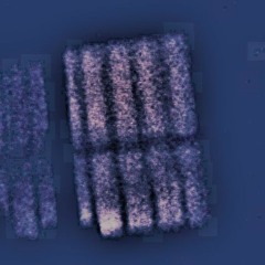 과속방지턱의 울렁임