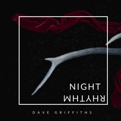 Dave Griffiths - Night Rythem (original mix) PREVIEW