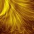 Artwork for Melting Gold by Jai Joseph Noonday Wax