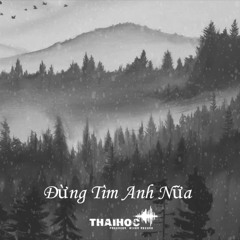 Đừng Tìm Anh Nữa