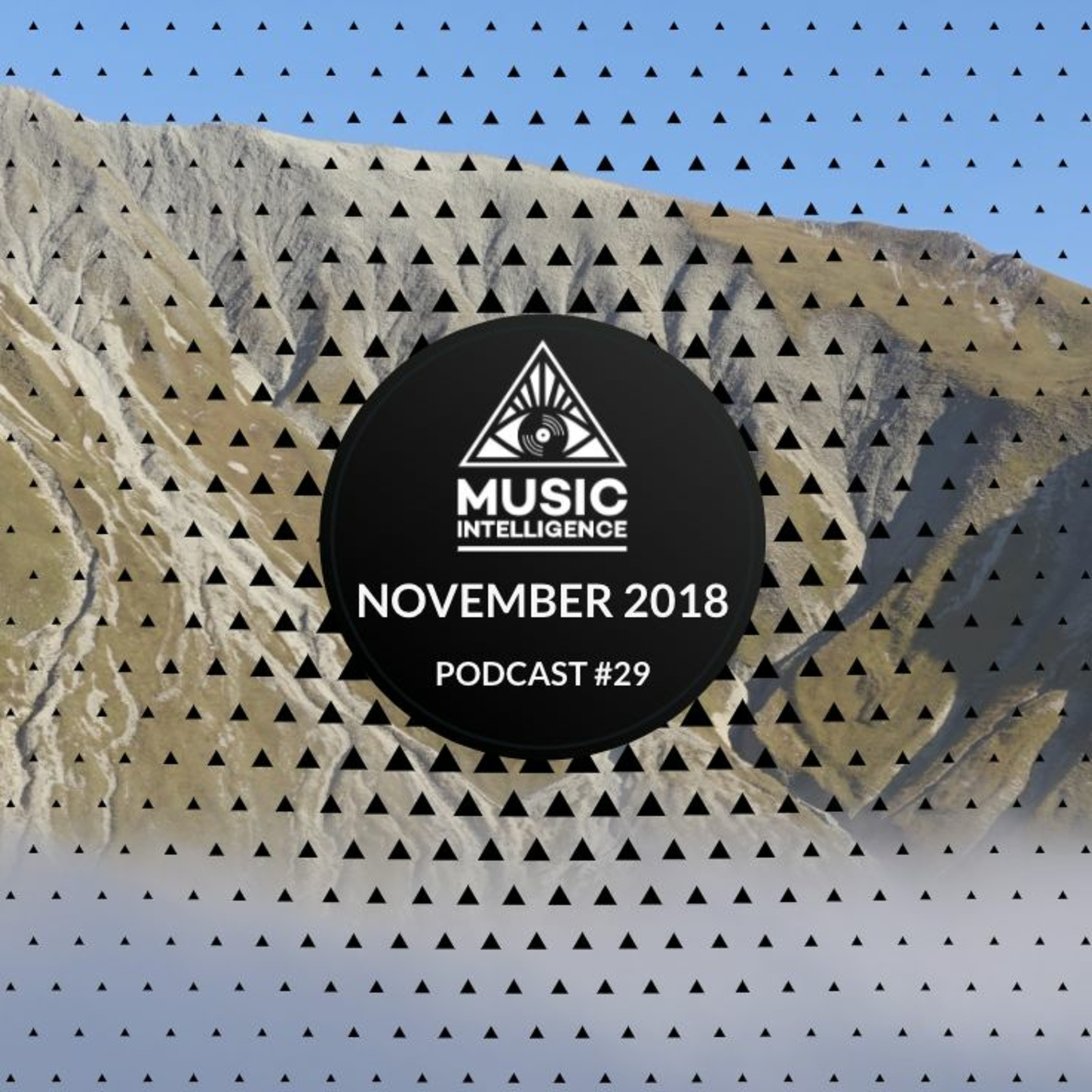 Music Intelligence Podcast