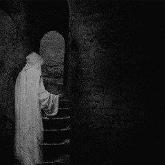 Clip & Tarot - Nachtfalter