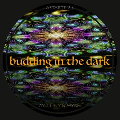 Budding In The Dark - Mu Tiny & Myrh
