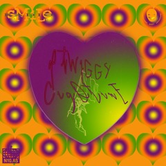 s.M.i.L.e. Radio 024 : DJ Cigotine & Ptwiggs