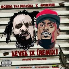 Level IX (Remix) [feat. Modenine]