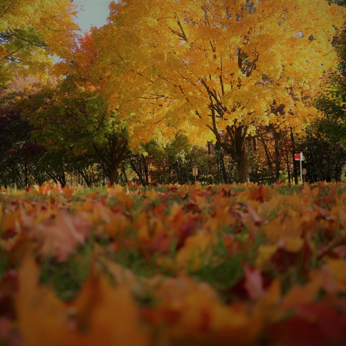 Seasons