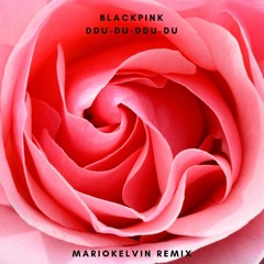 뚜두뚜두 (DDU-DU DDU-DU) - BLACKPINK (MarioKelvin Remix)