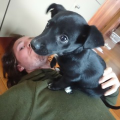 In Her Eyes (Live Demo)