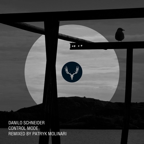 Danilo Schneider - Luvua (Patryk Molinari Remix) released on Cervidae Recordings
