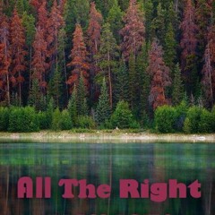 Nokturnal Funk - All The Right Elements Vol.2