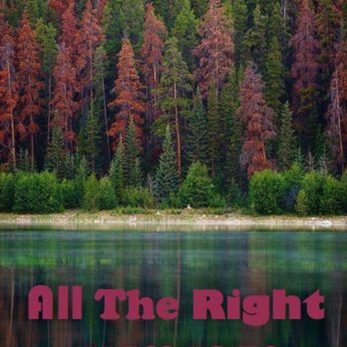 Nokturnal Funk - All The Right Elements Vol.2