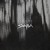 Artwork for SWARM - Take Me To Hell