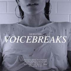 voicebreaks