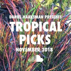 Tropical Picks November 2019