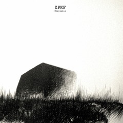 01. ZPKF - Limb