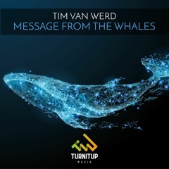 Tim Van Werd - Message From The Whales 🐋