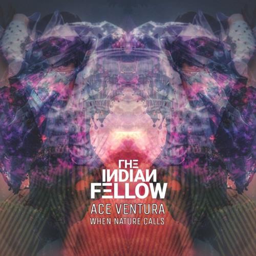 Stream Ace ventura when nature calls (The Indian Fellow remix) by The  Indian Fellow | Listen online for free on SoundCloud