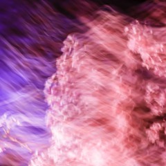 All You Need Is Freinds