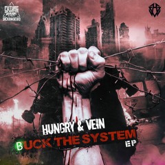 Hungry & Vein ft. Antivolt - Fuck You