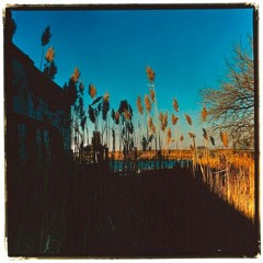 The Cinematic Orchestra - That Home (T Base Bootleg)