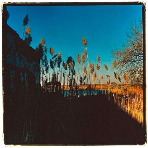 The Cinematic Orchestra - That Home (T Base Bootleg)