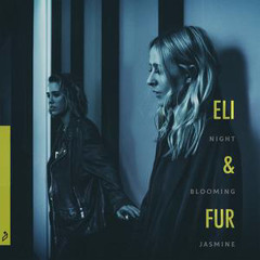 Eli  Fur - Night Blooming Jasmine (Rodriguez Jr. Remix)