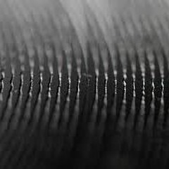 Liven up (Original Mix)