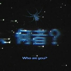 Askeljo - Spider Web