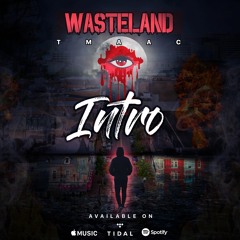 Intro (Original Mix)[Prod.By Tig Price]