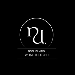 Noel Di Maio - What You Said (Original Mix) (SC Preview)