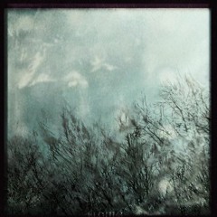 Vorlis - Vascular Tension