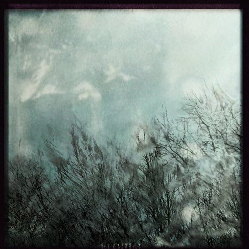 Vorlis - Vascular Tension