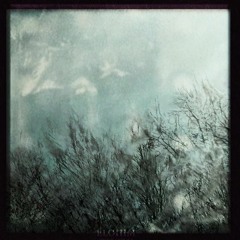 Vorlis - Wrench