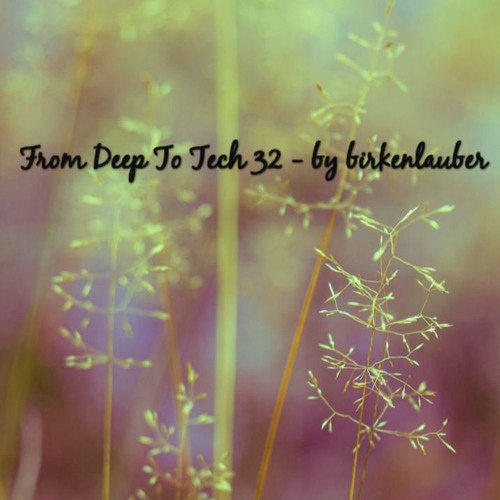 From Deep To Tech Vol 32 - by birkenlauber