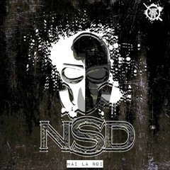 NSD - speakers ( o fortuna edit)