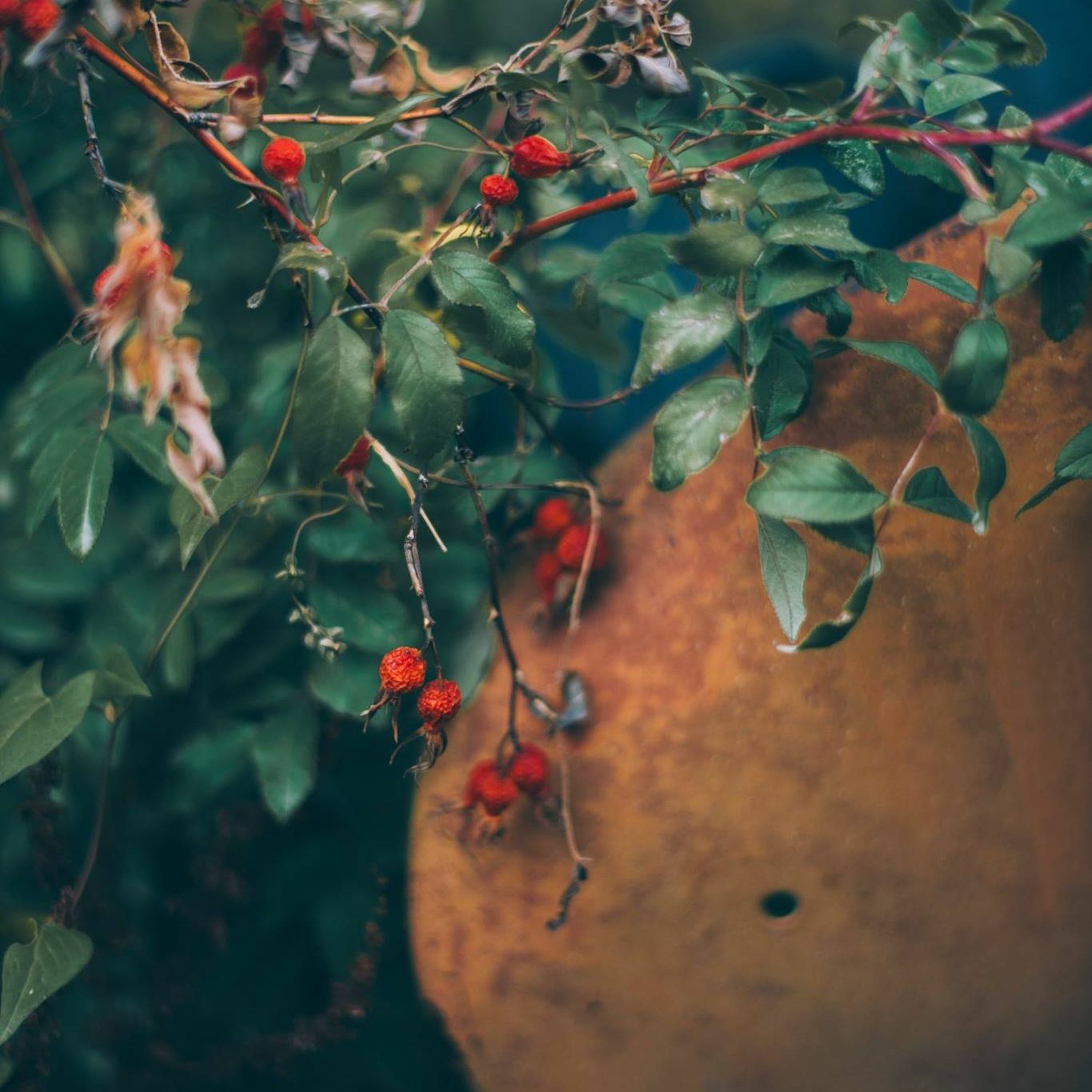"Resonance" by David P. episode artwork