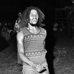 Tribute To The King Of Reggae Bob Marley Part 2 - Vinyl Only MixTape -