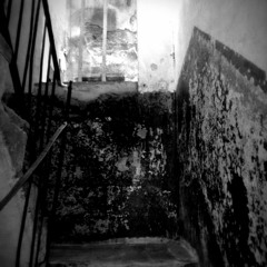 Nad Sulle ei võlgne midagi