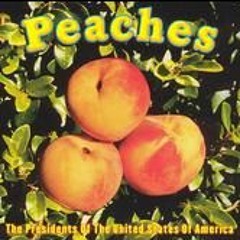 presidents-of-the-usa-peaches