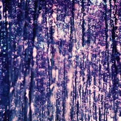 Sbeat - Initial Retreat