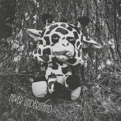 ZVD - Never Understand