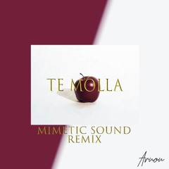 ARNON - Te Molla (Feat. Kilua) [Mimetic Sound Remix]