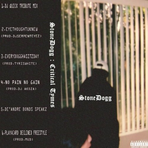 STONEDOGG - EVERYDOGGHASITZDAY