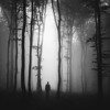 Sounds From The Other Side