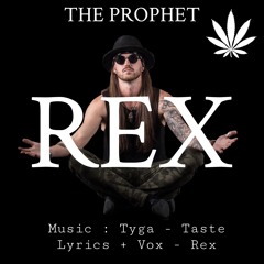 Tyga feat. Offset - Taste (REX - The Prophet Remix)