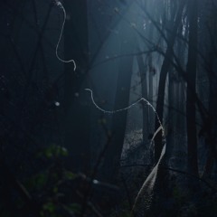 S.D.R. (KALLO Remix)